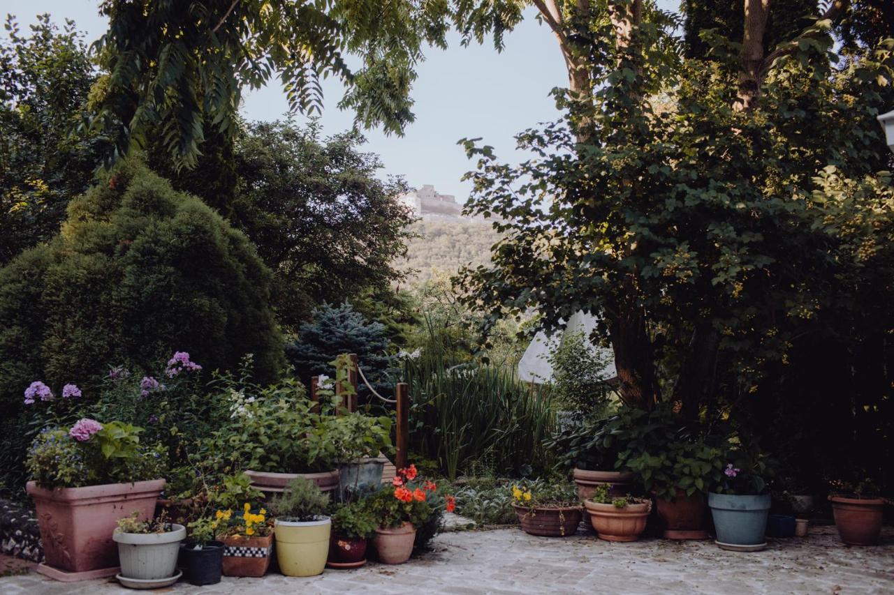 Vila Missy Deva Exteriér fotografie