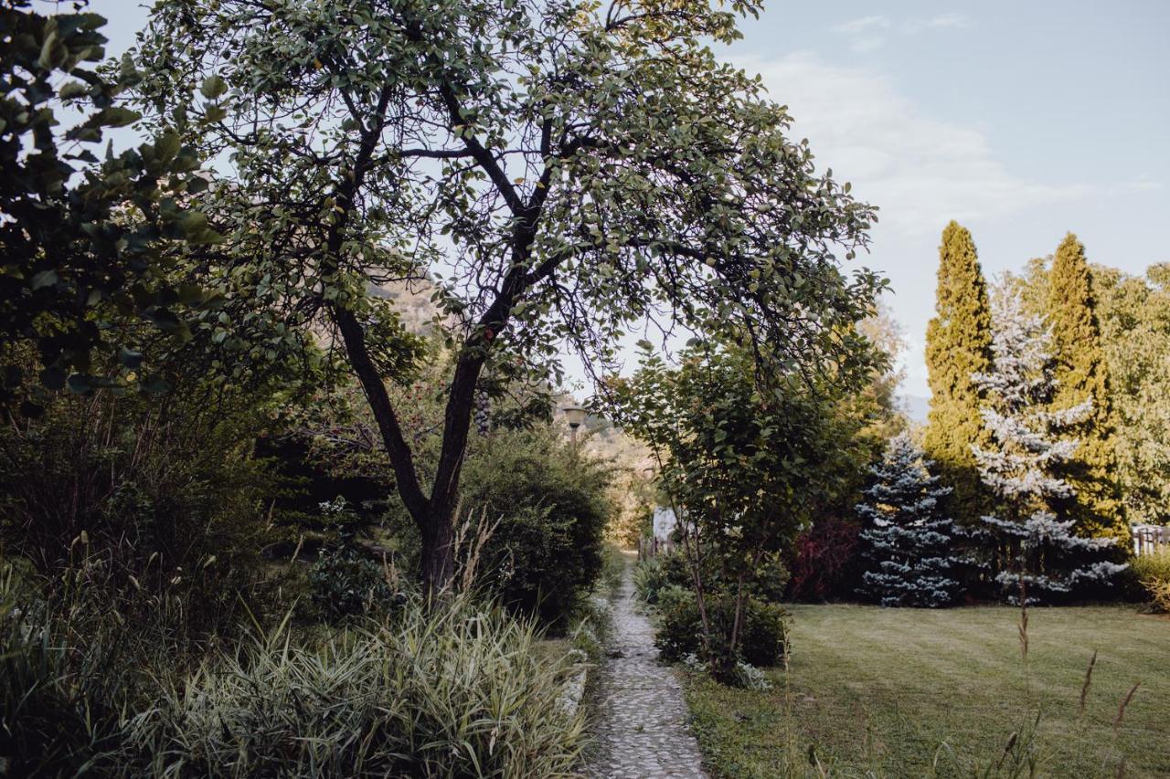 Vila Missy Deva Exteriér fotografie
