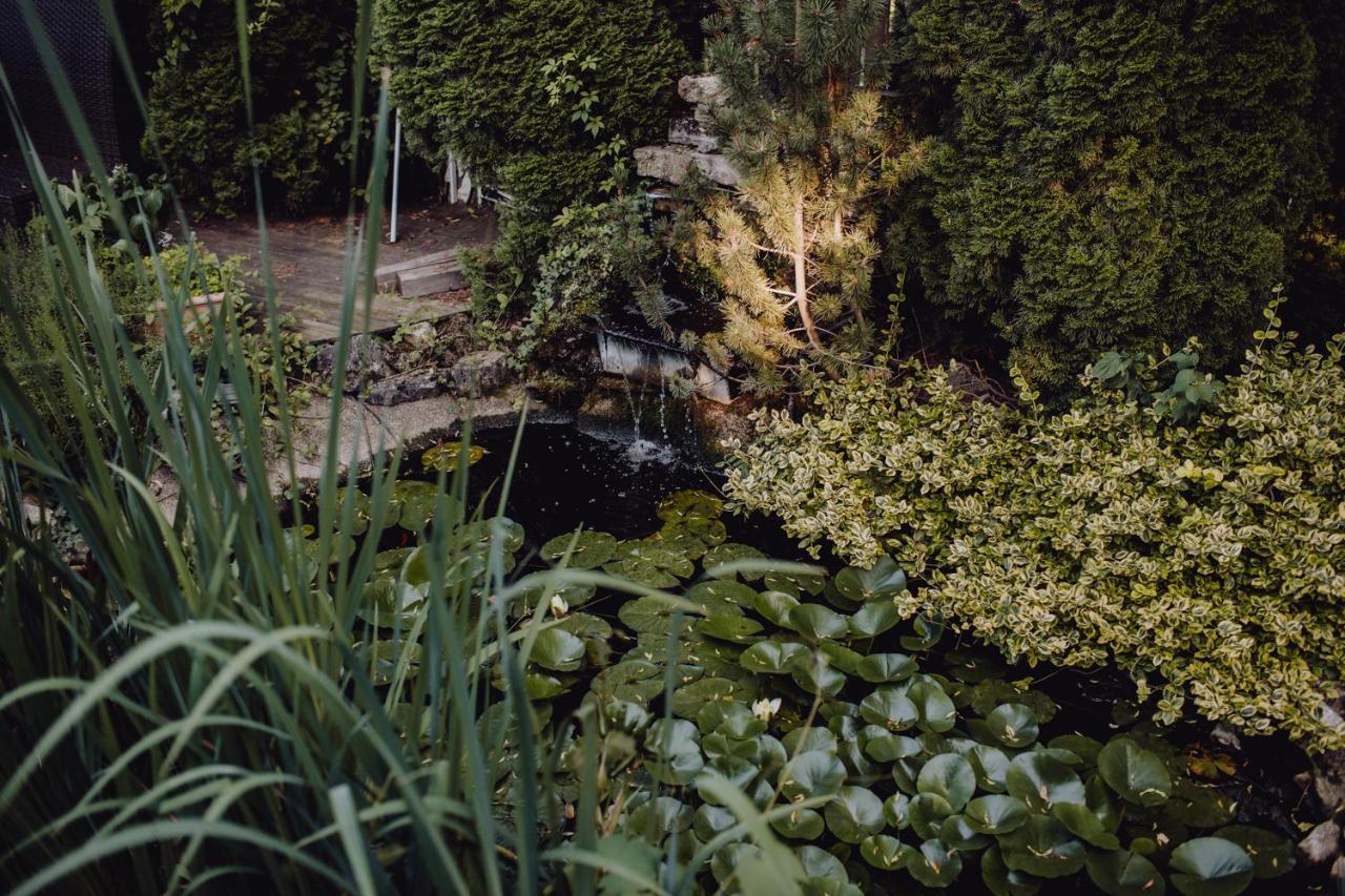 Vila Missy Deva Exteriér fotografie
